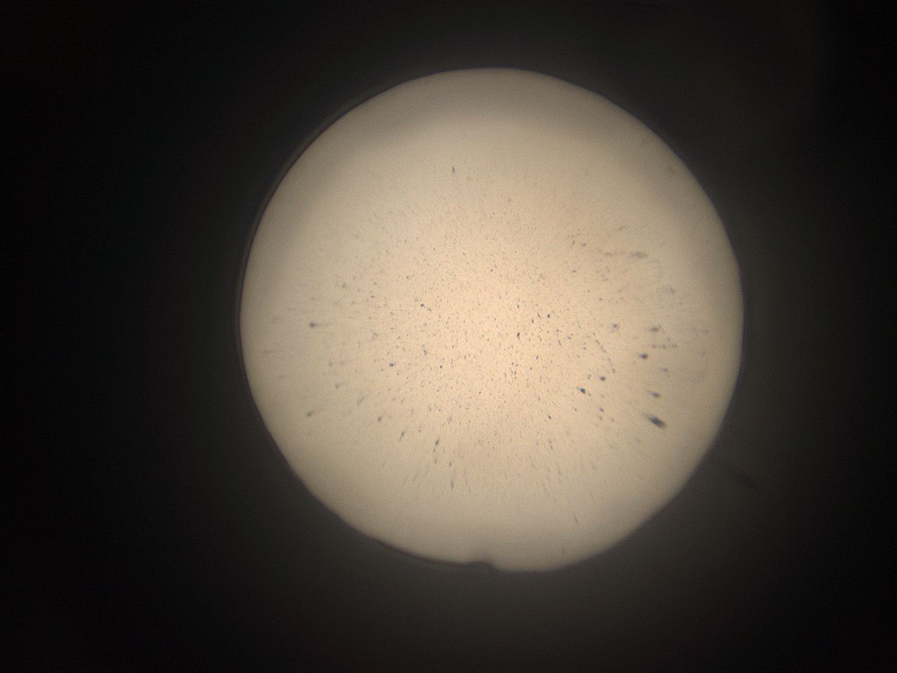 066t_P13_ImagerDefaults_9.jpg