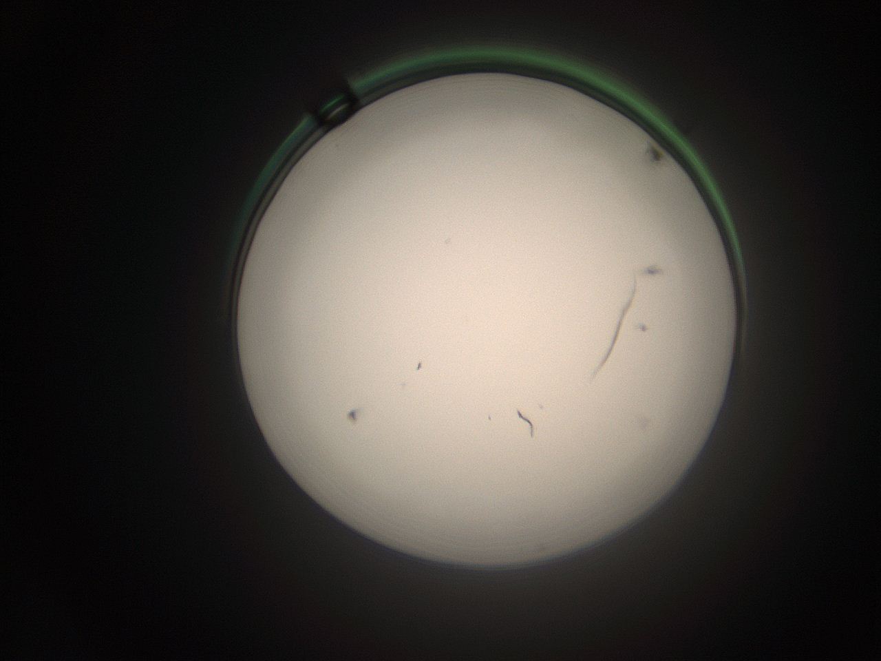 066t_P20_ImagerDefaults_1.jpg
