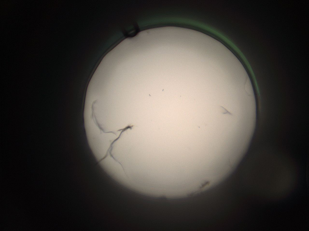 066t_P21_ImagerDefaults_1.jpg