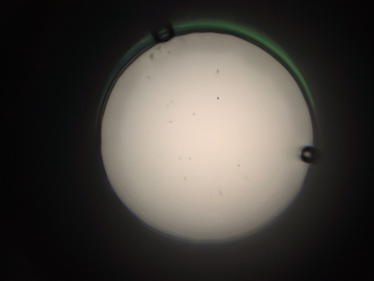 066t_P22_ImagerDefaults_1.jpg