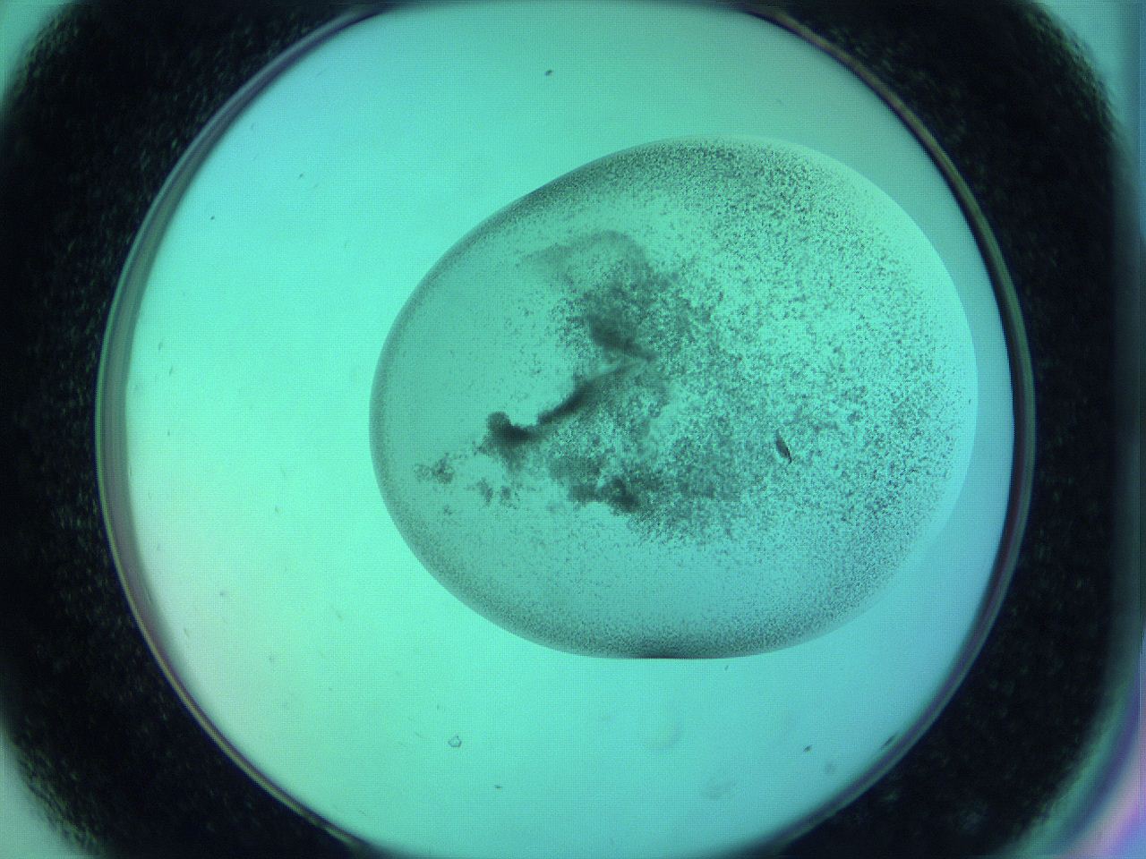 066x_D8_ImagerDefaults_3.jpg
