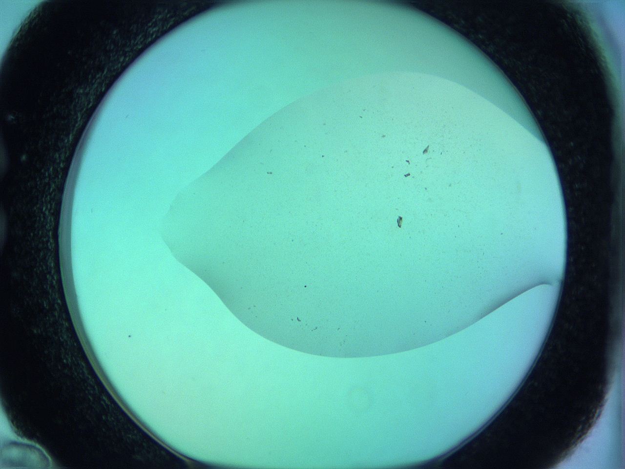 066x_C12_ImagerDefaults_0.jpg