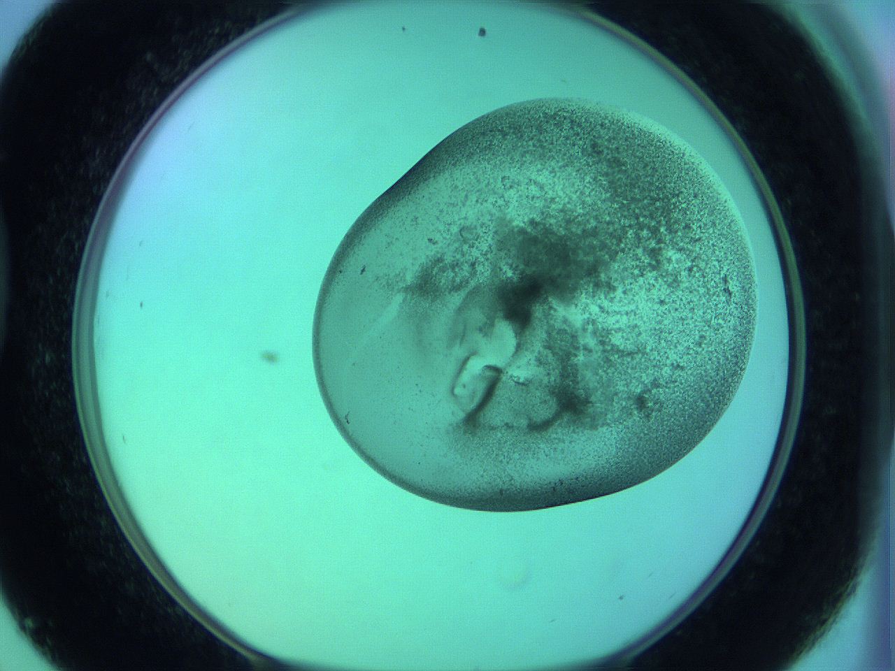 066x_D9_ImagerDefaults_3.jpg