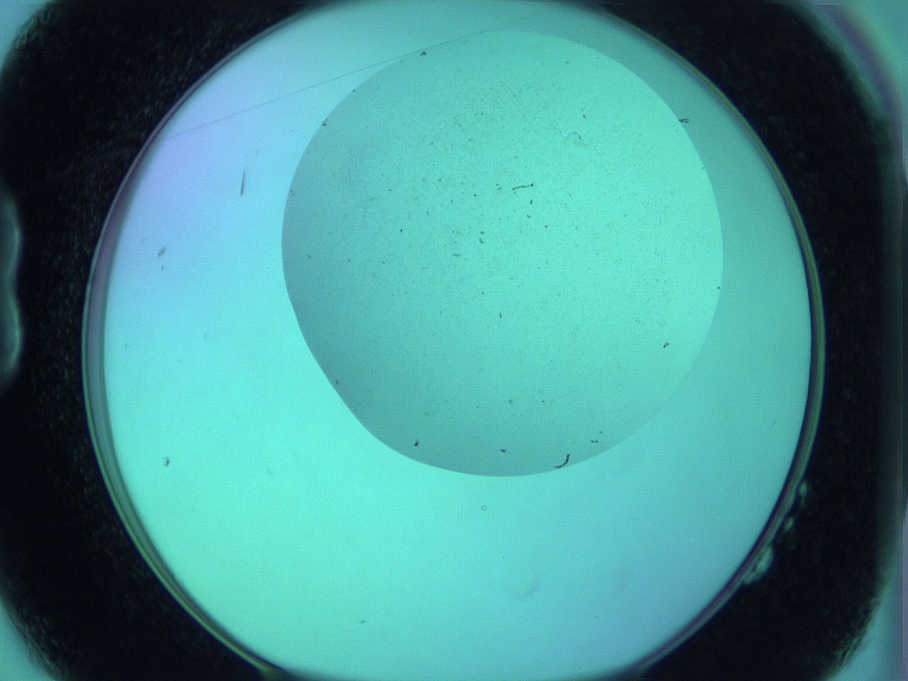 066x_B2_ImagerDefaults_0.jpg