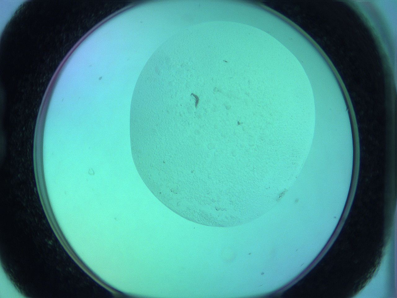 066x_B9_ImagerDefaults_0.jpg