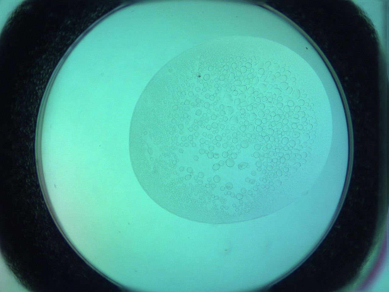 066x_B9_ImagerDefaults_5.jpg