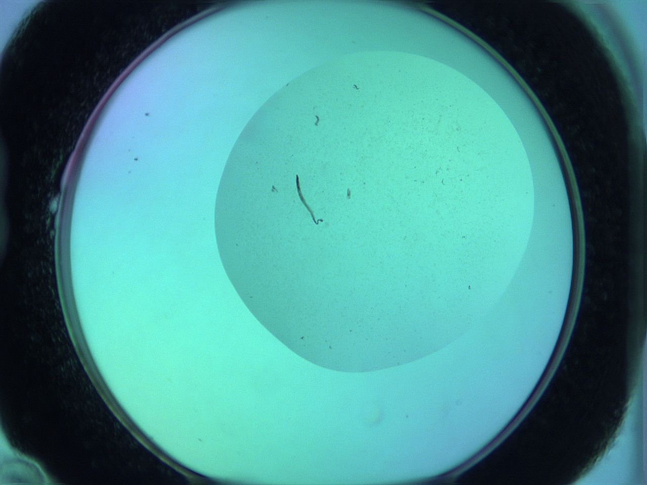 066x_B10_ImagerDefaults_0.jpg