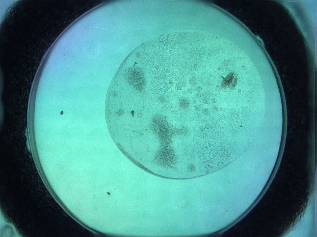 066x_B11_ImagerDefaults_3.jpg