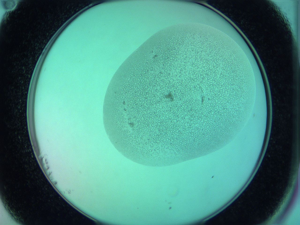 066x_B11_ImagerDefaults_5.jpg