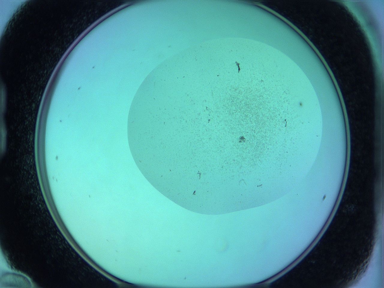 066x_B12_ImagerDefaults_3.jpg