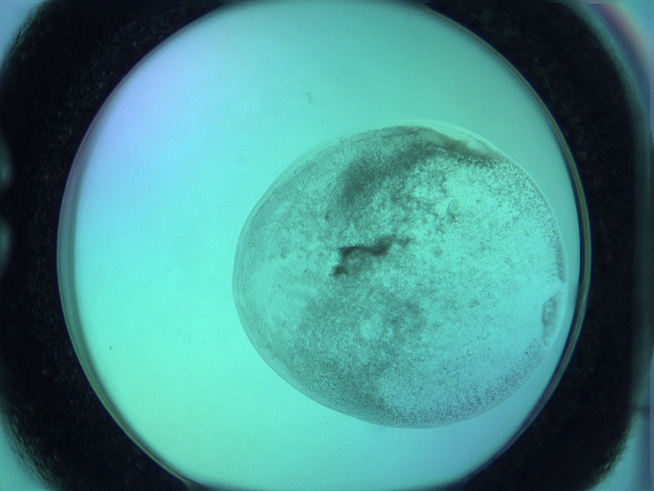 066x_C3_ImagerDefaults_3.jpg