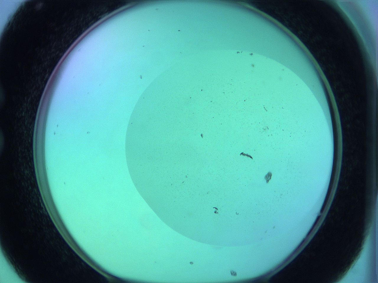 066x_C8_ImagerDefaults_0.jpg