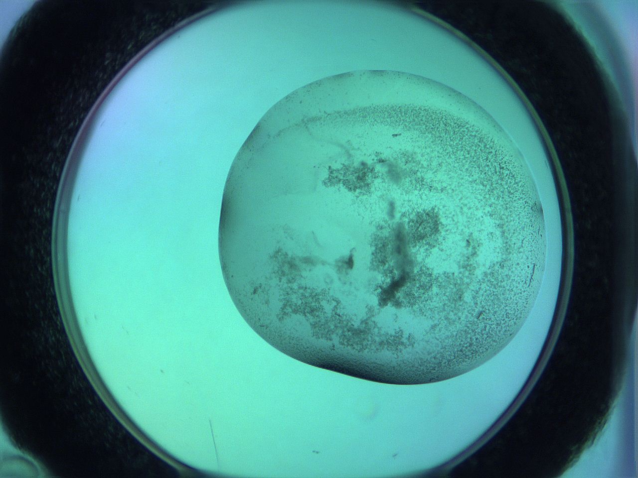 066x_D10_ImagerDefaults_3.jpg