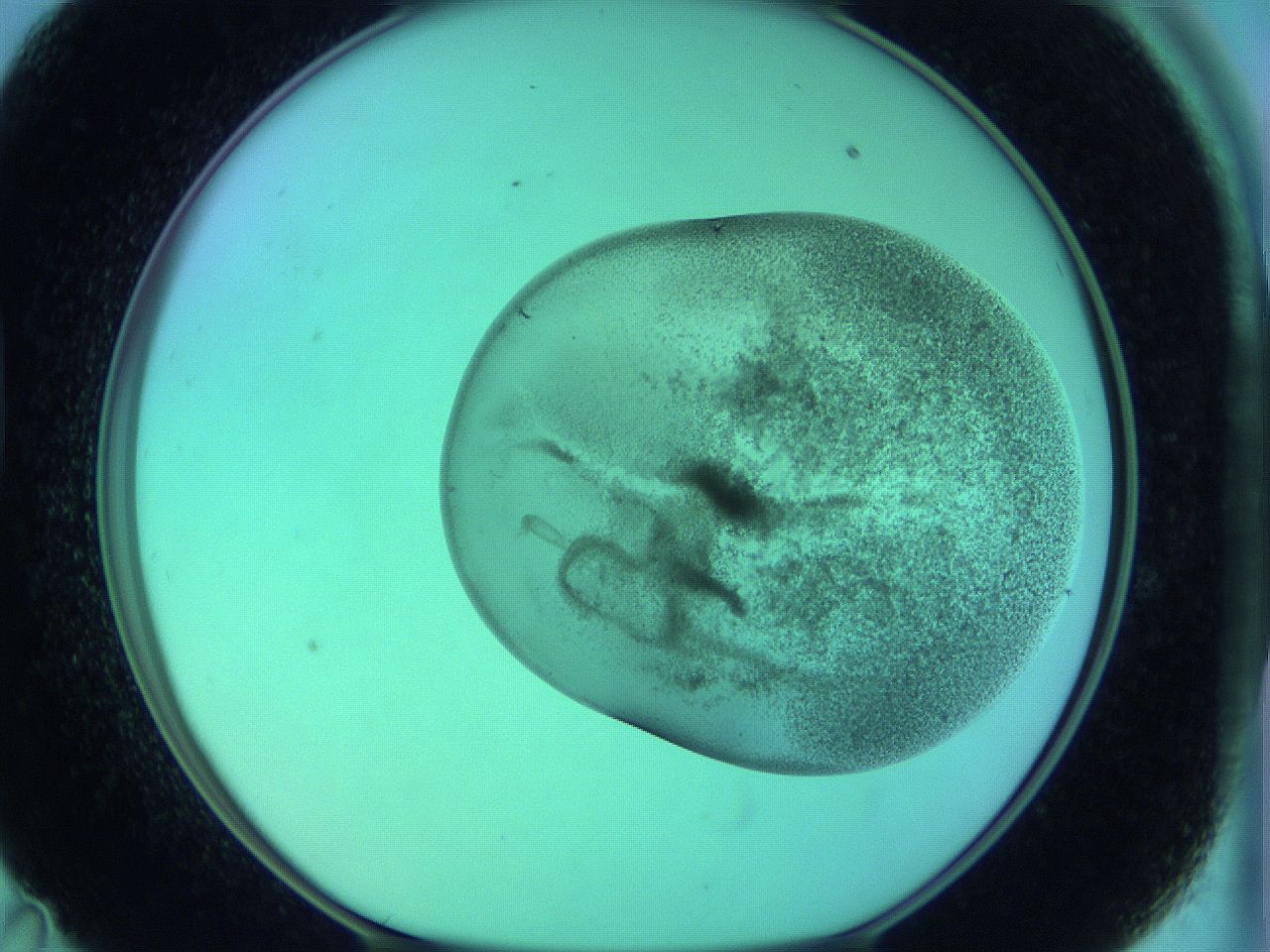 066x_D11_ImagerDefaults_3.jpg