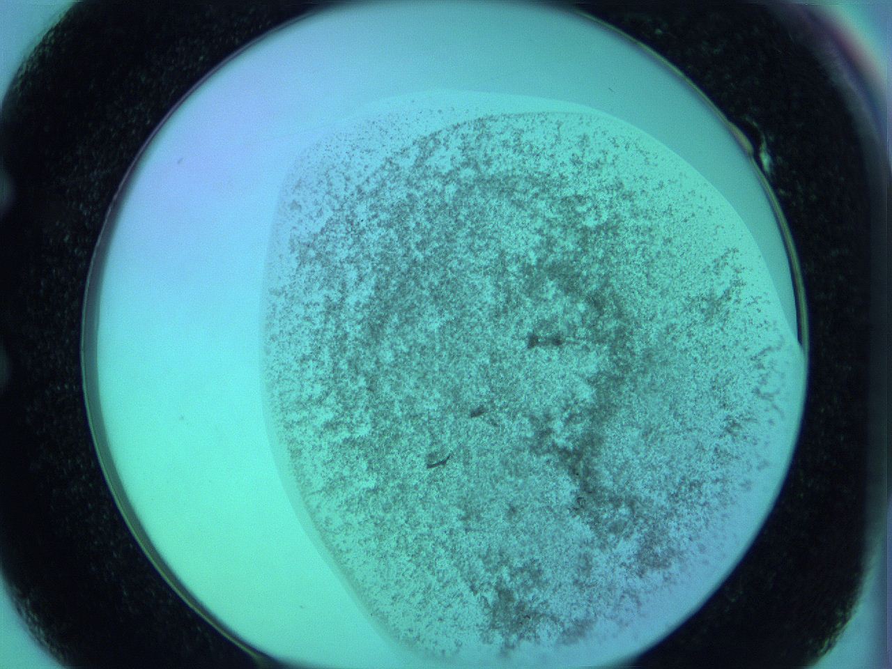 066x_E1_ImagerDefaults_3.jpg
