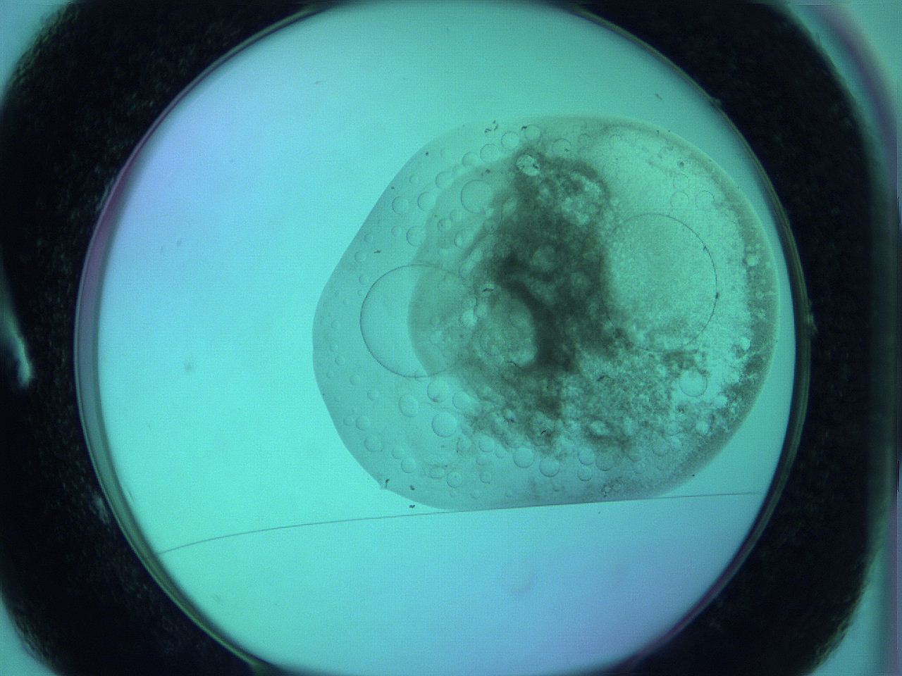 066x_A1_ImagerDefaults_3.jpg