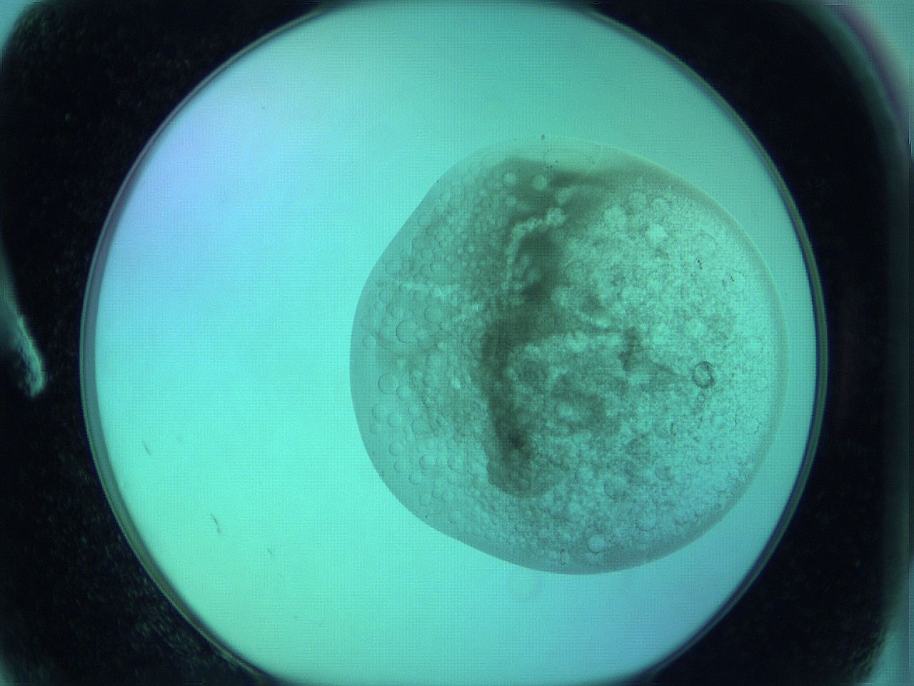 066x_A2_ImagerDefaults_3.jpg
