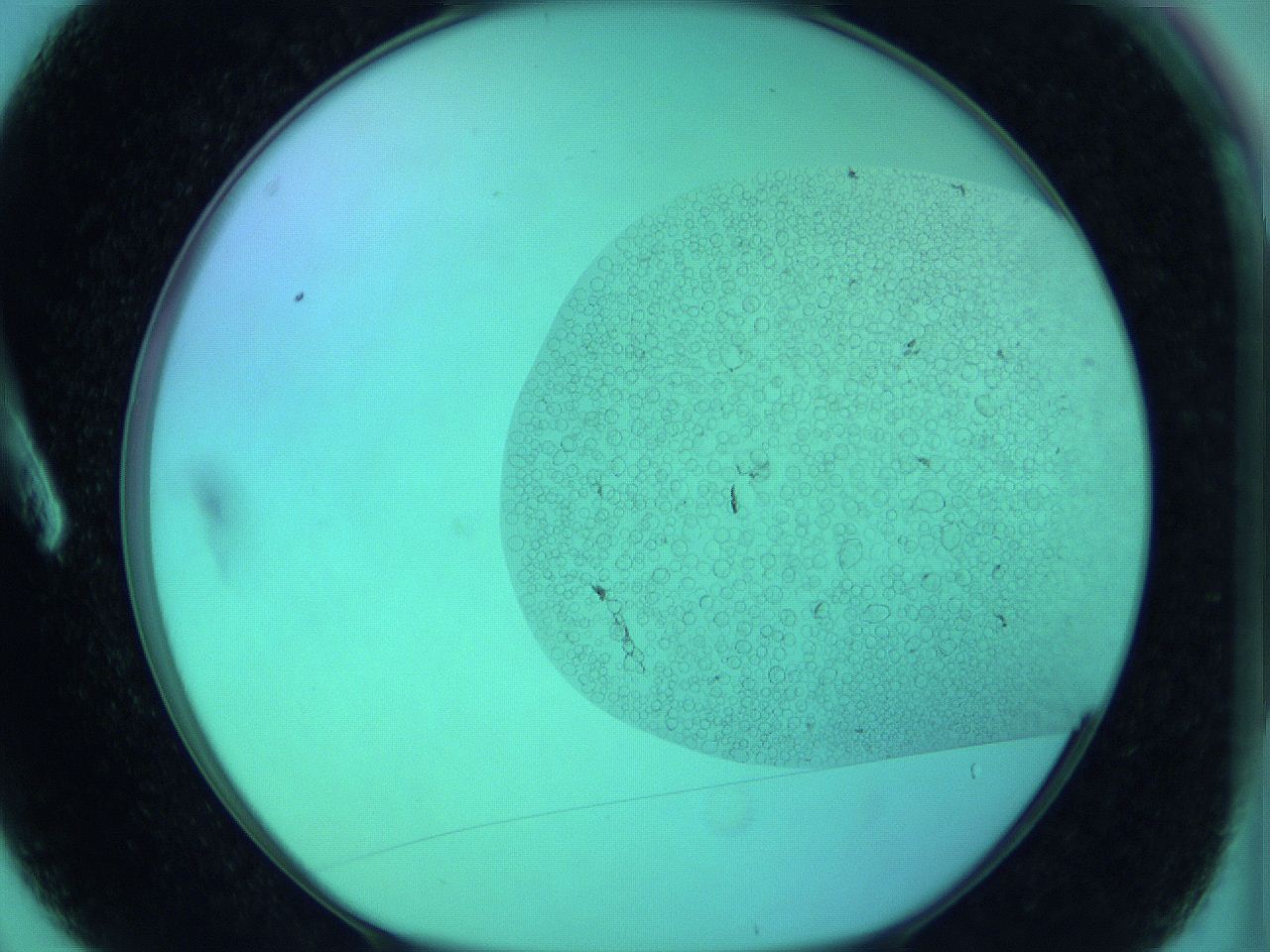 066x_A3_ImagerDefaults_0.jpg