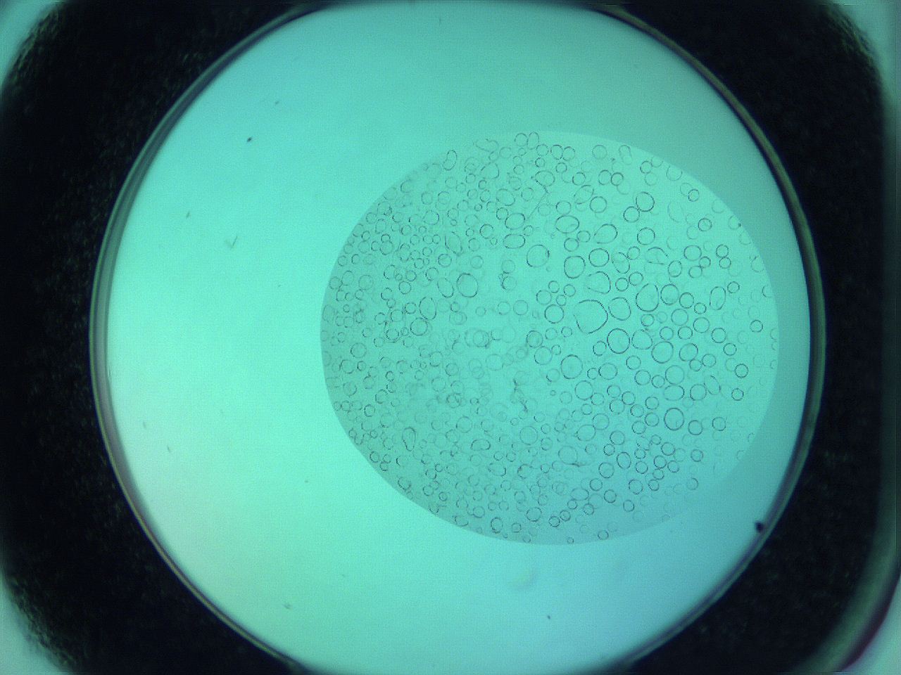 066x_A3_ImagerDefaults_5.jpg