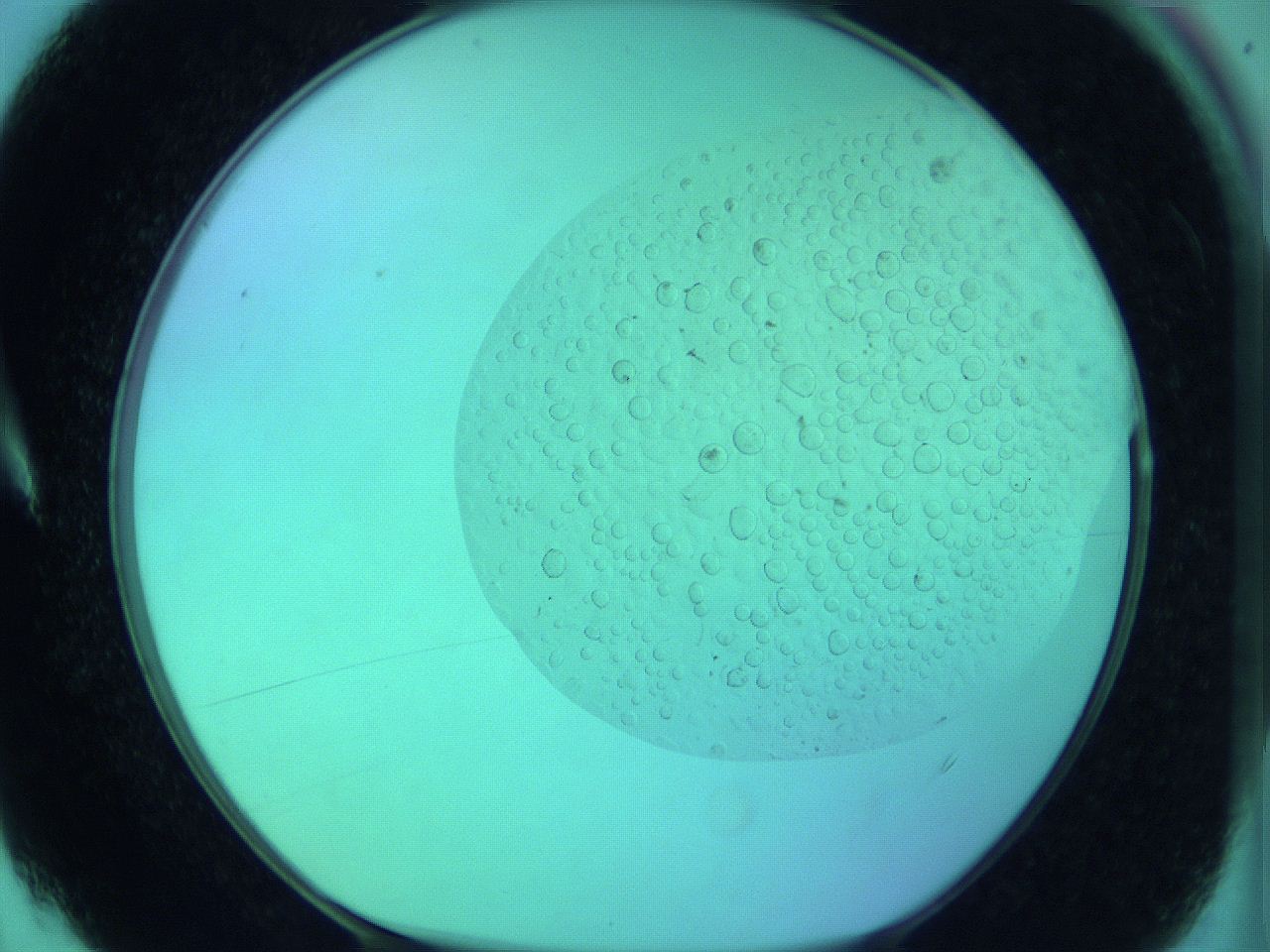 066x_A4_ImagerDefaults_0.jpg