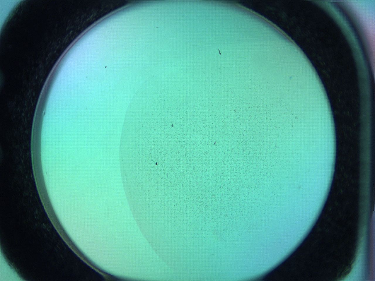 066x_E5_ImagerDefaults_0.jpg