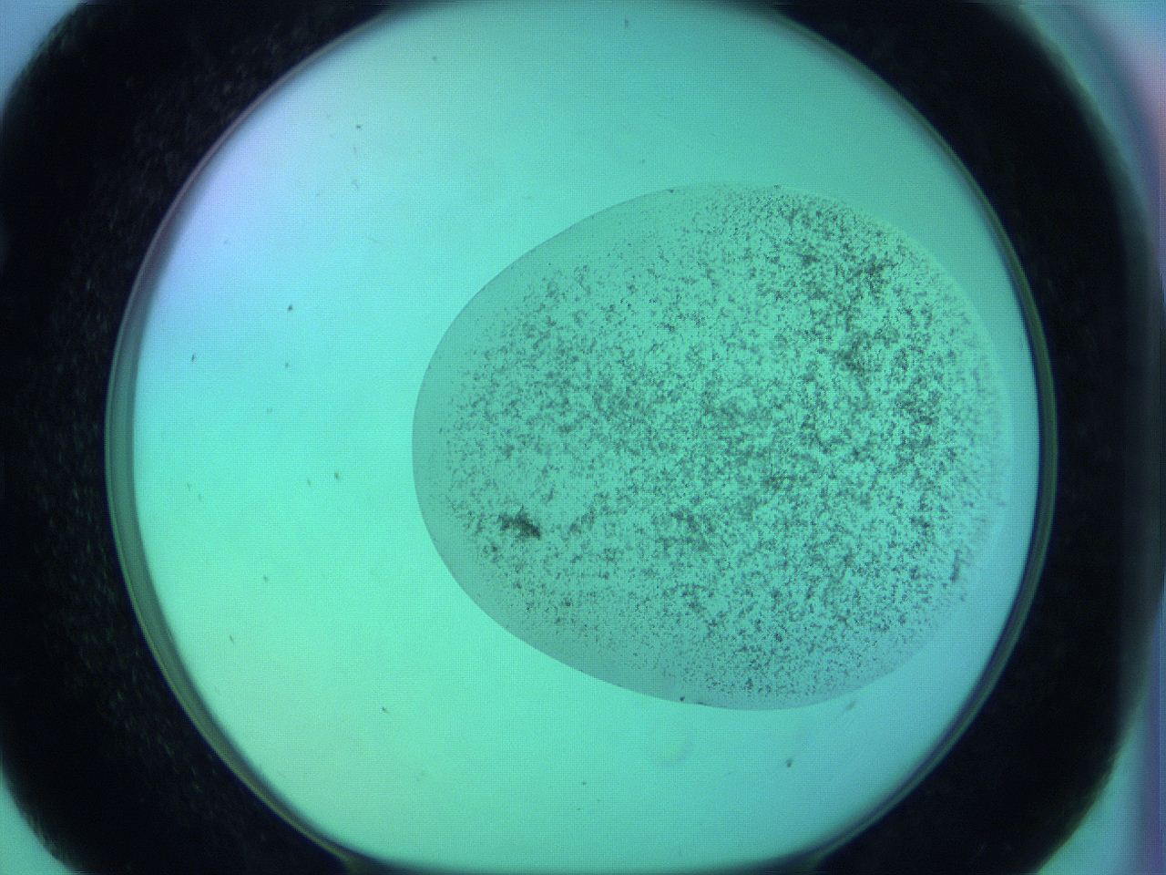 066x_E7_ImagerDefaults_3.jpg