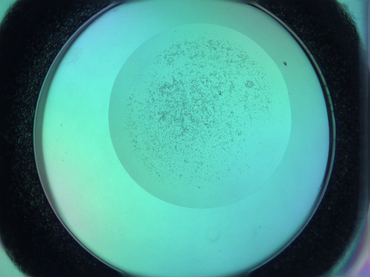 066x_E9_ImagerDefaults_3.jpg