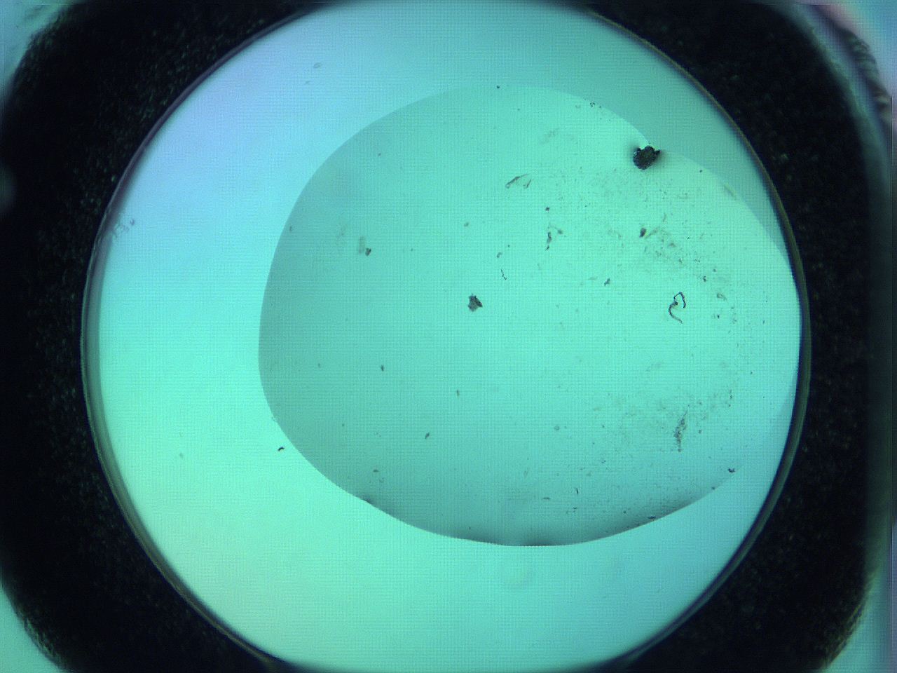 066x_F1_ImagerDefaults_0.jpg