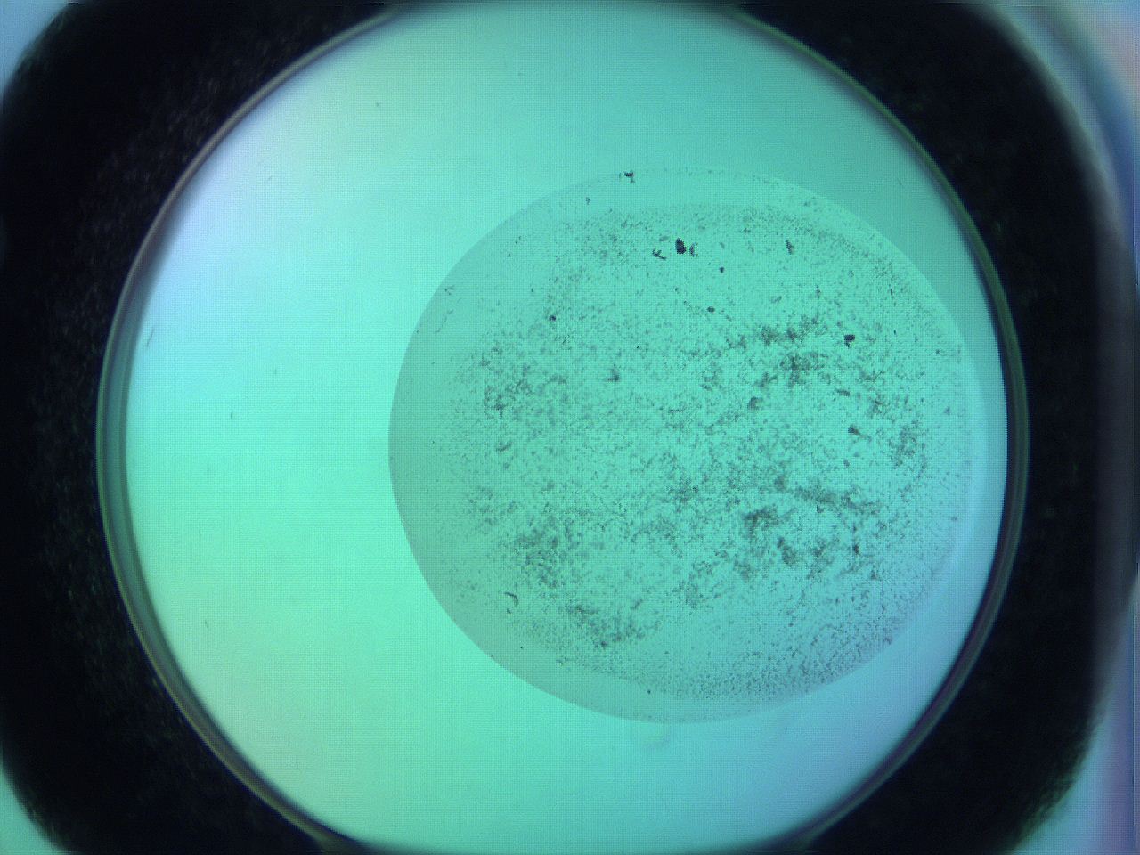 066x_F7_ImagerDefaults_3.jpg