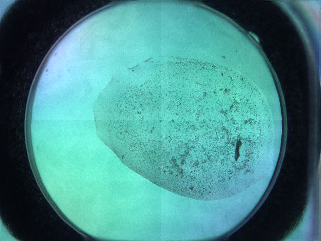 066x_F9_ImagerDefaults_3.jpg