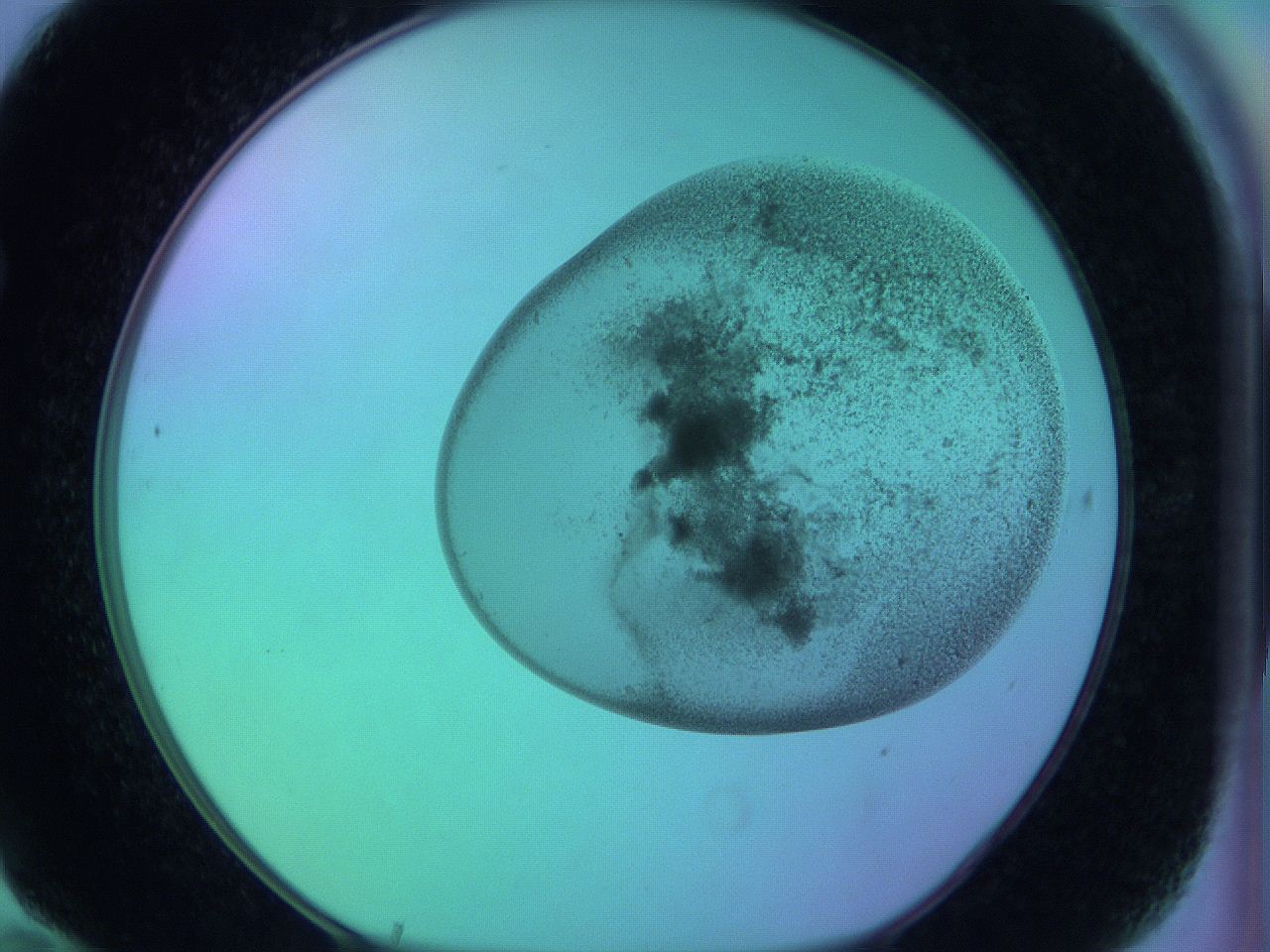 066x_F10_ImagerDefaults_3.jpg