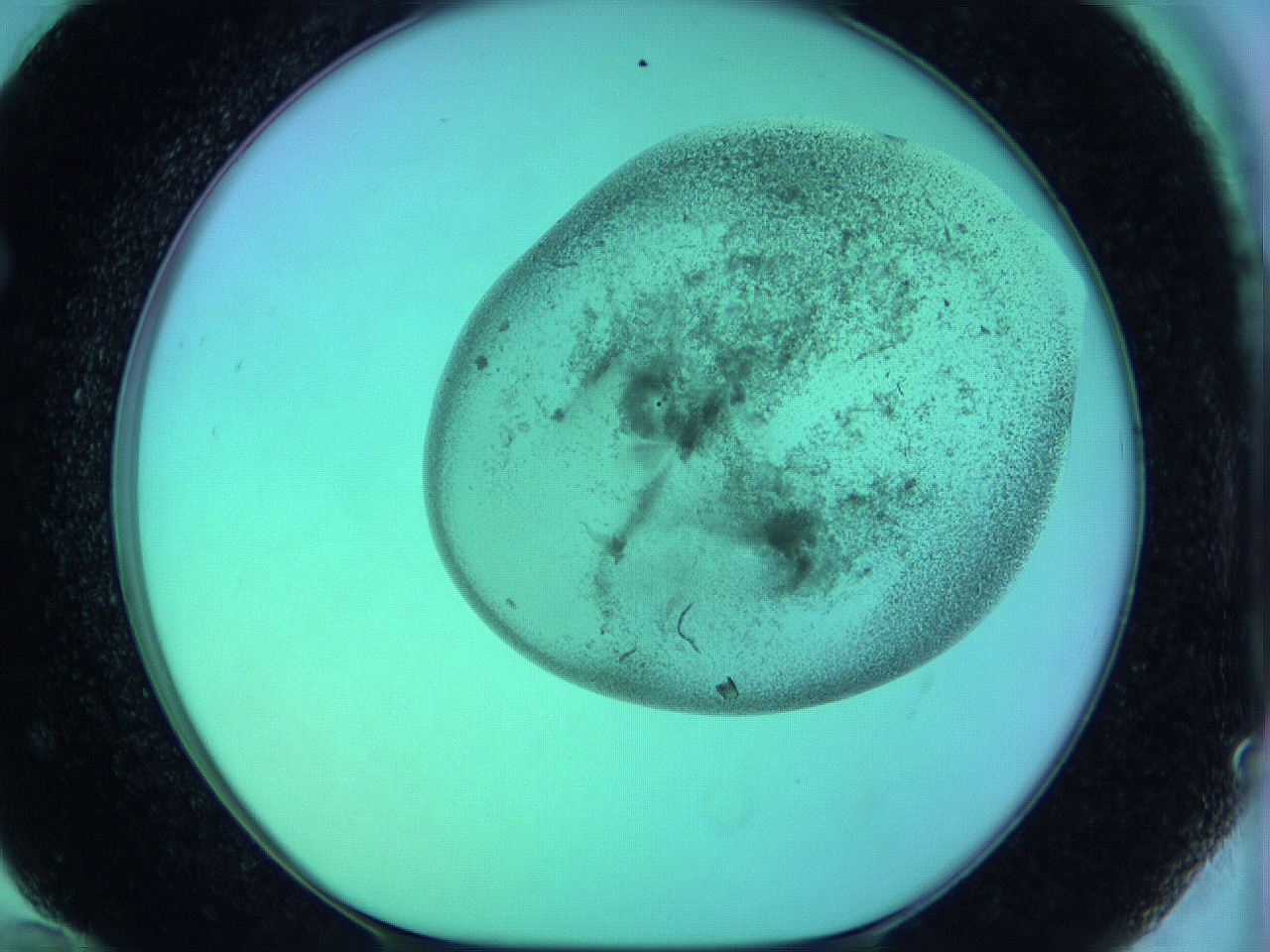 066x_F12_ImagerDefaults_3.jpg