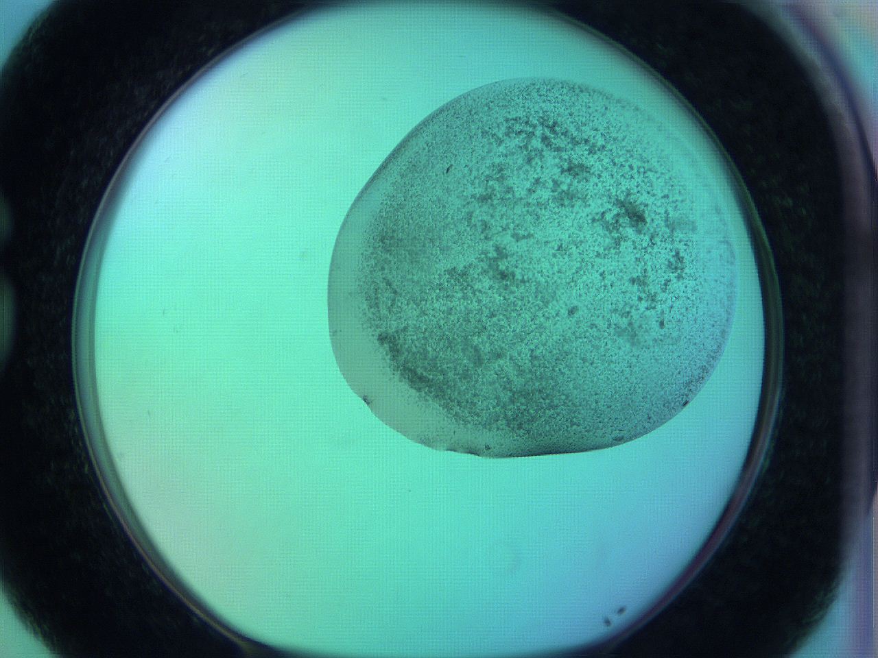 066x_G5_ImagerDefaults_3.jpg