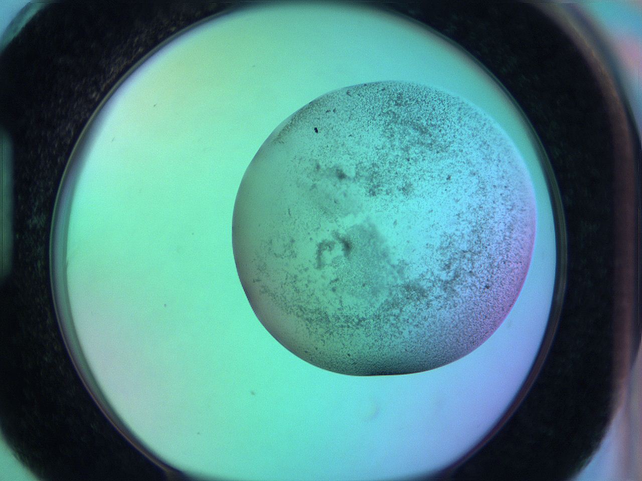 066x_H6_ImagerDefaults_3.jpg
