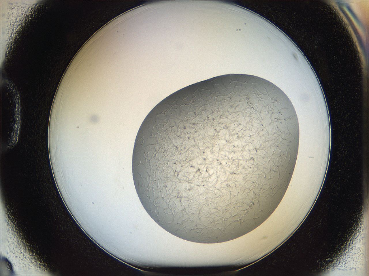 067v_D3_ImagerDefaults_6.jpg