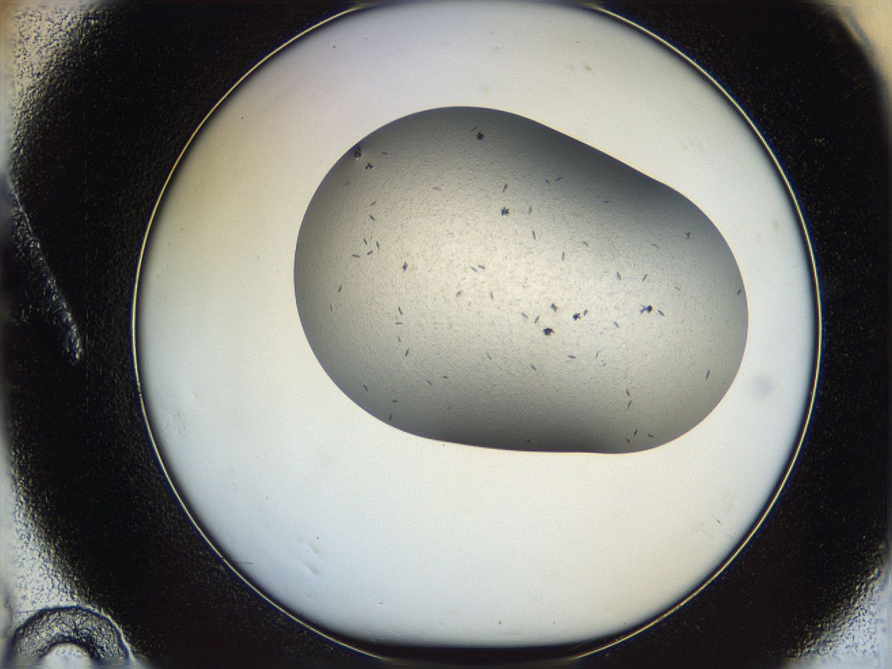 067v_A10_ImagerDefaults_6.jpg
