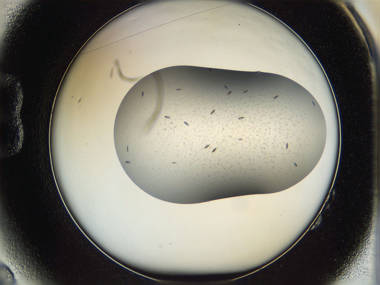 067v_B2_ImagerDefaults_6.jpg