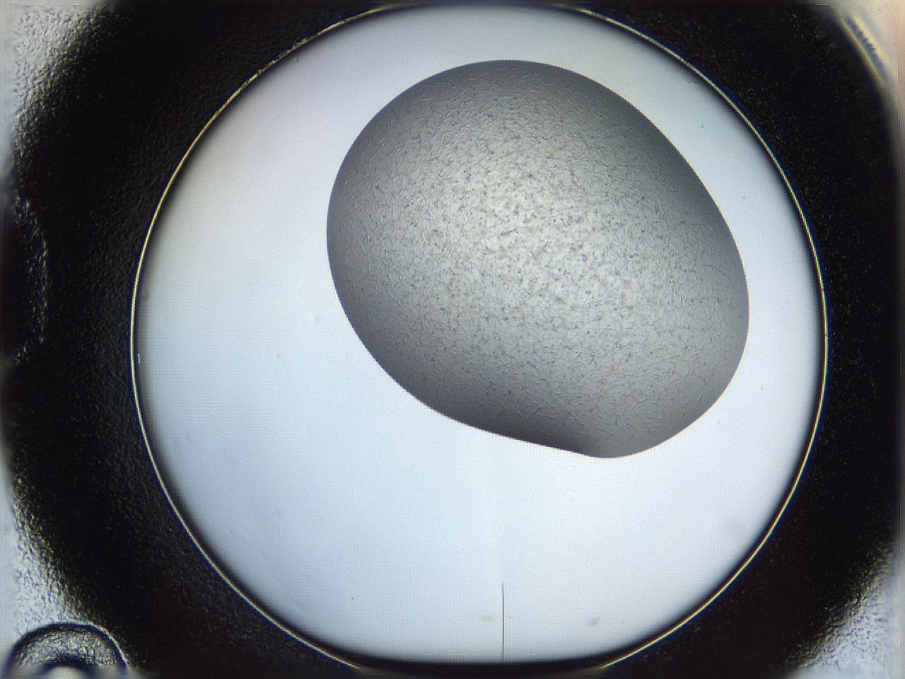 067v_D10_ImagerDefaults_6.jpg