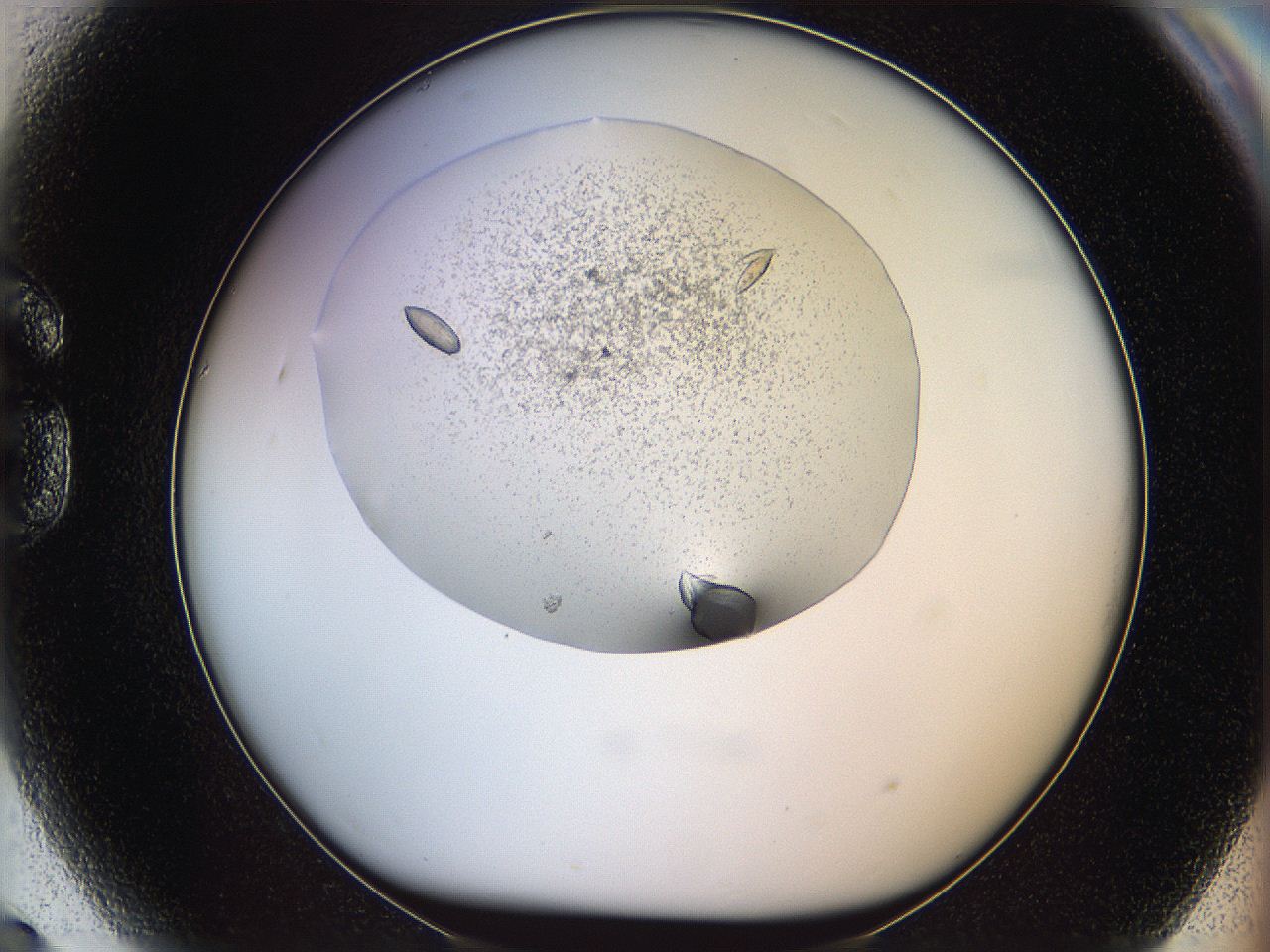 067v_G9_ImagerDefaults_8.jpg