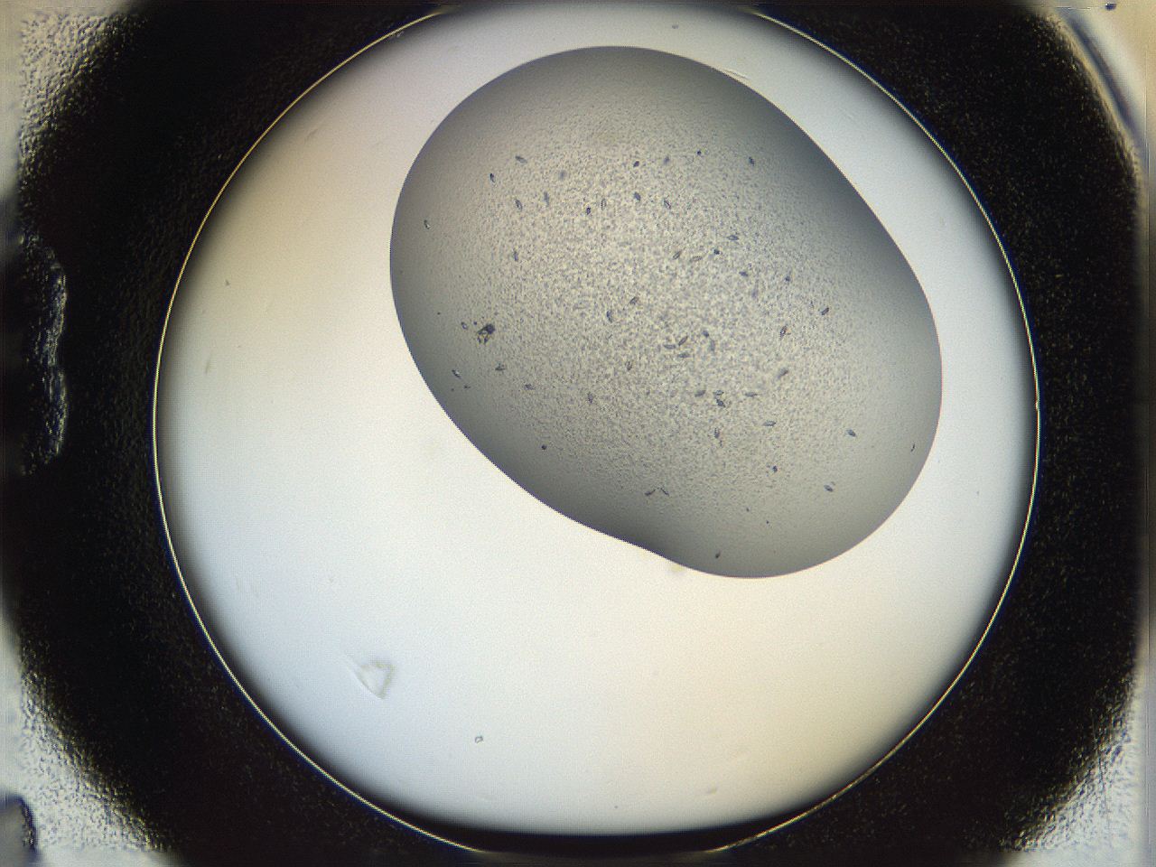 067v_B4_ImagerDefaults_6.jpg