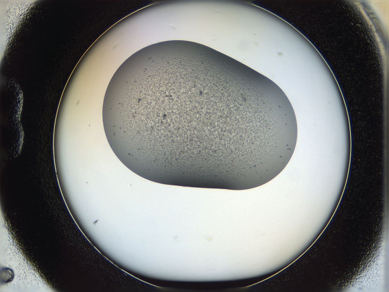 067v_B5_ImagerDefaults_6.jpg