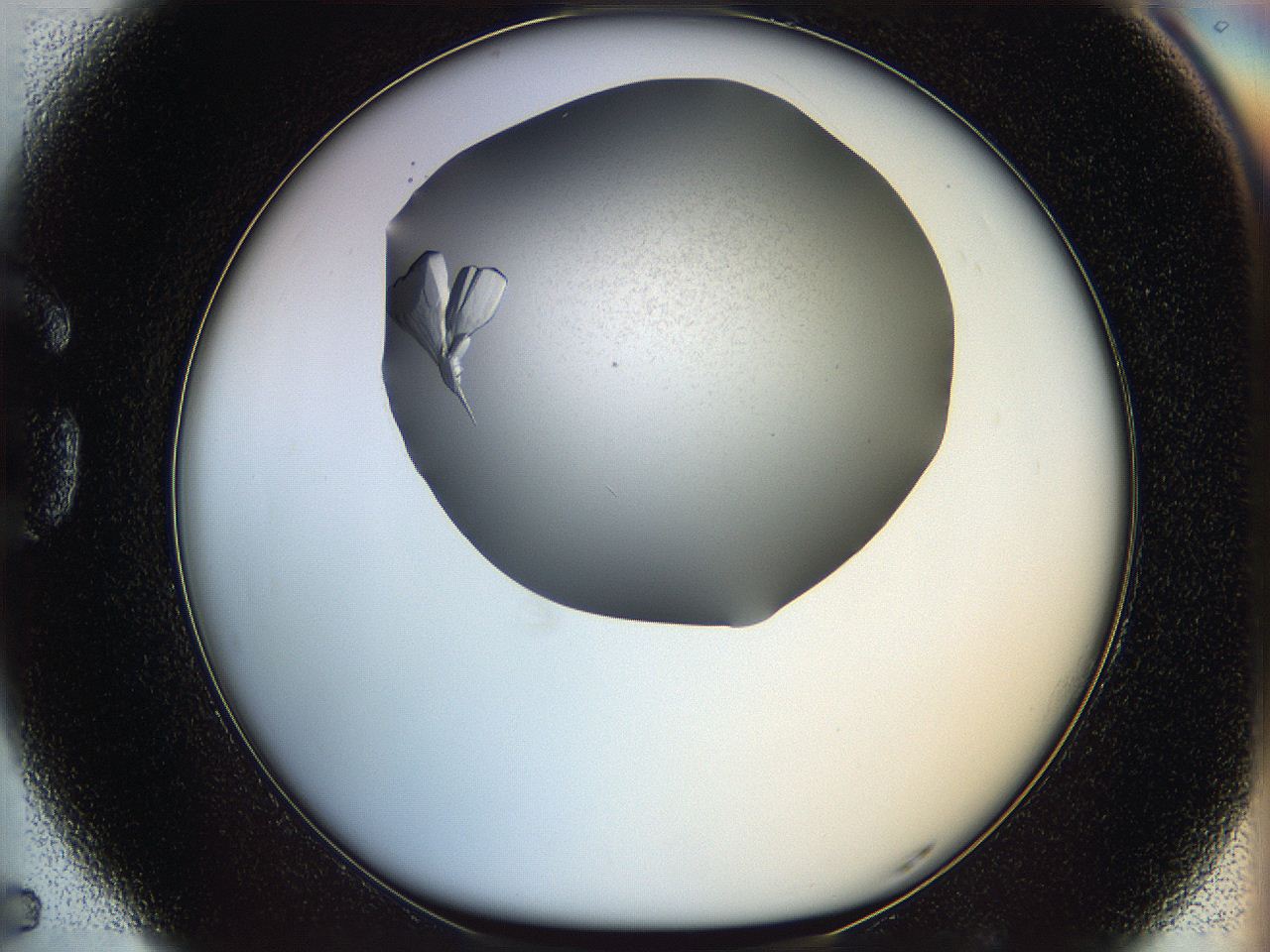 067v_G5_ImagerDefaults_9.jpg
