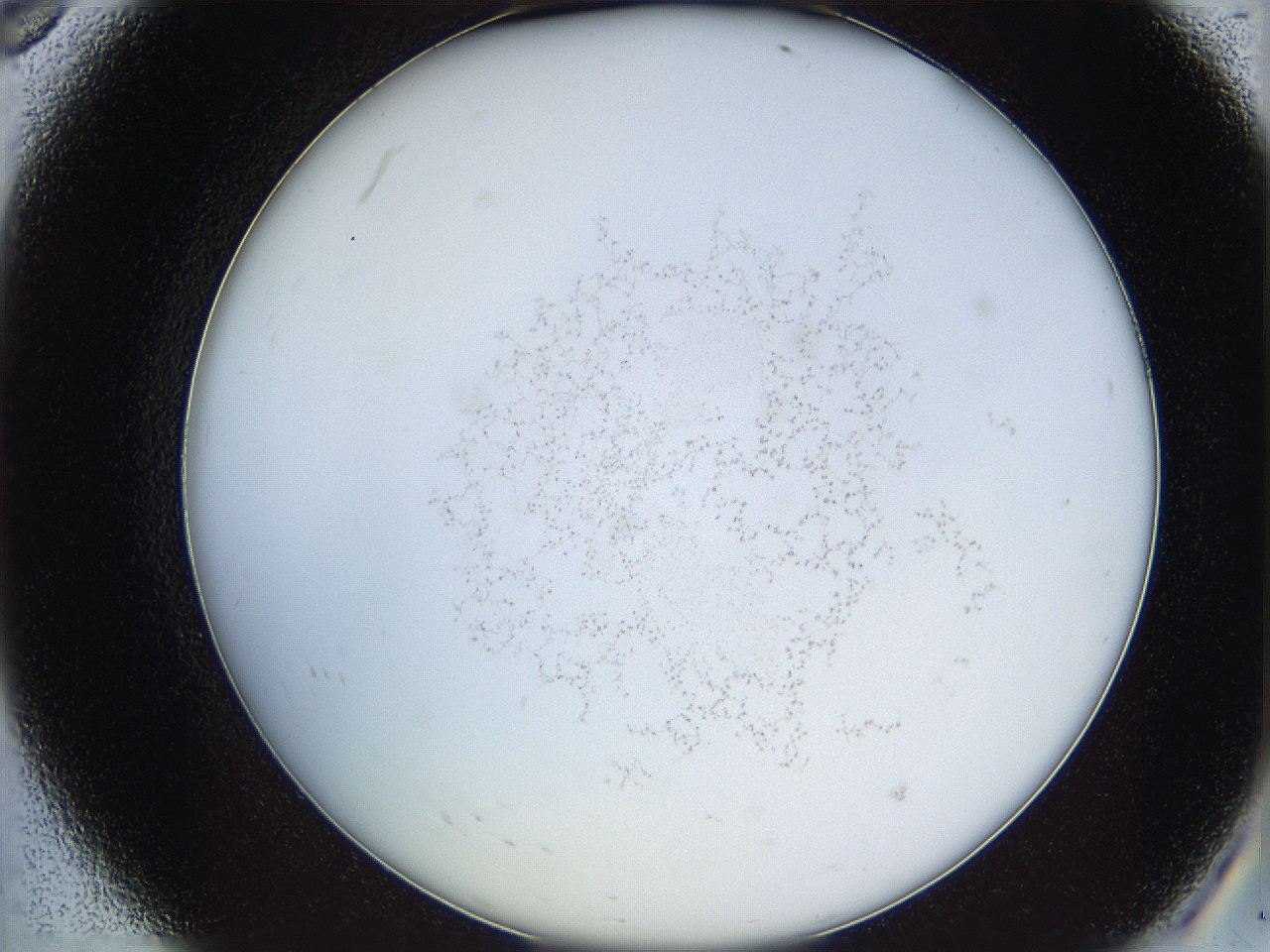 068a_A8_ImagerDefaults_2.jpg