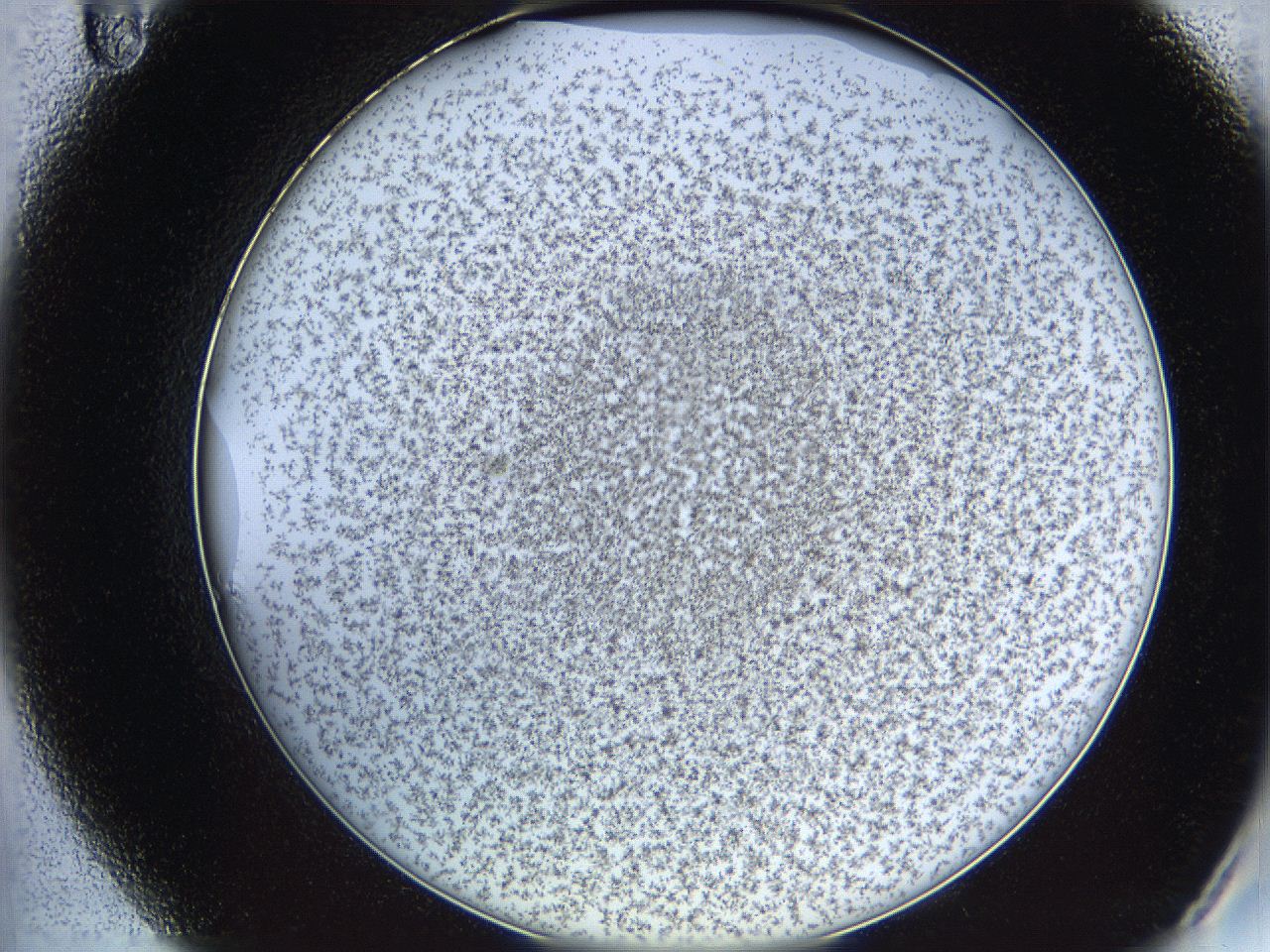 068a_A11_ImagerDefaults_6.jpg