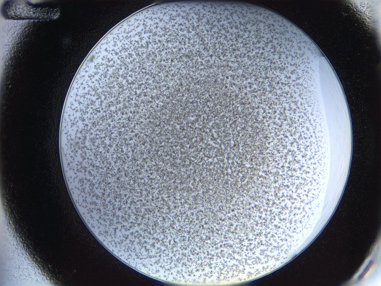 068a_A12_ImagerDefaults_4.jpg