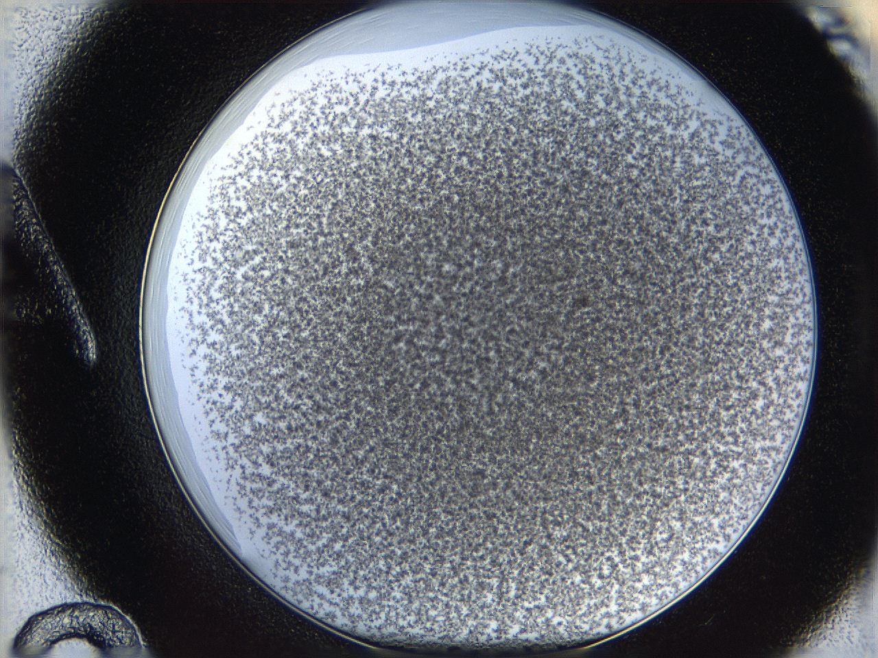 068a_A12_ImagerDefaults_3.jpg