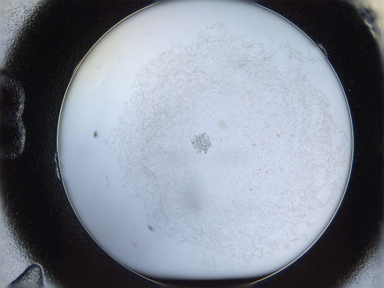068a_B11_ImagerDefaults_9.jpg