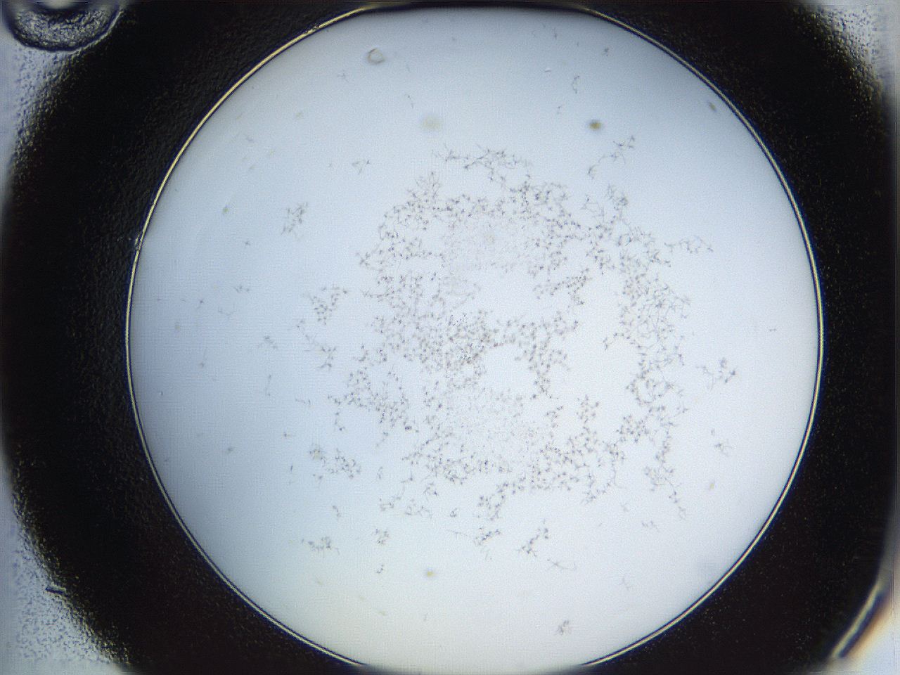 068a_C10_ImagerDefaults_6.jpg