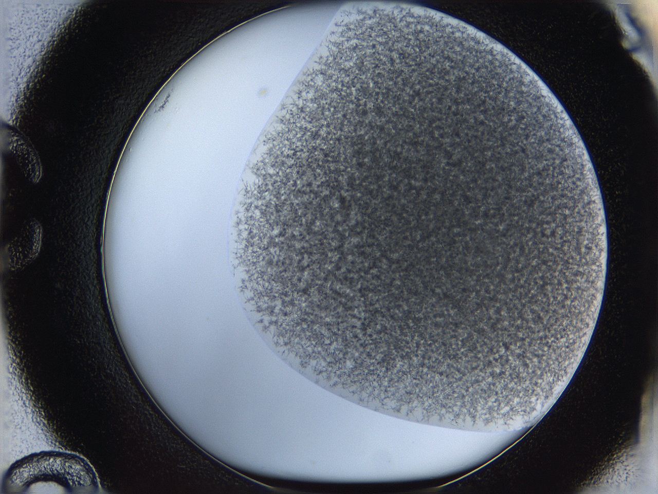 068a_C12_ImagerDefaults_3.jpg