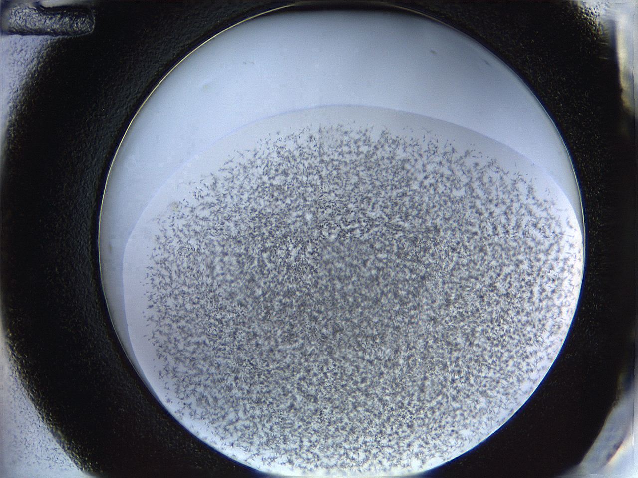 068a_C12_ImagerDefaults_6.jpg